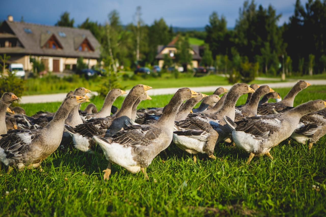 Oravsky Haj Garden Hotel & Resort Trstena Bagian luar foto